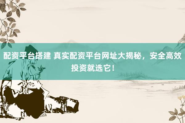 配资平台搭建 真实配资平台网址大揭秘，安全高效投资就选它！