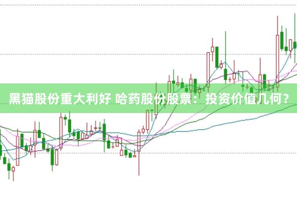黑猫股份重大利好 哈药股份股票：投资价值几何？
