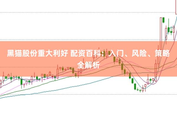 黑猫股份重大利好 配资百科：入门、风险、策略全解析