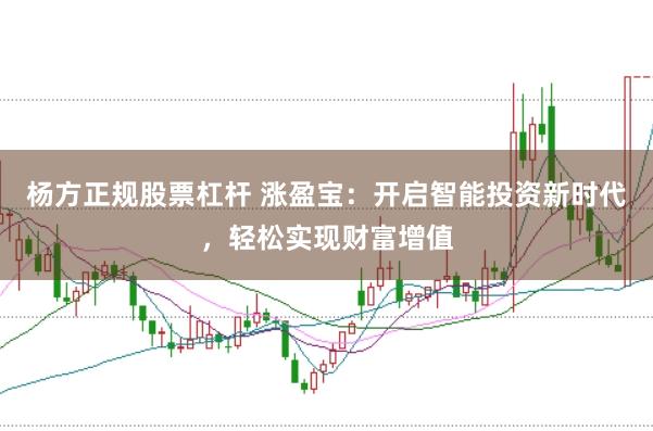 杨方正规股票杠杆 涨盈宝：开启智能投资新时代，轻松实现财富增值