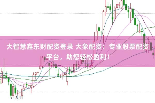 大智慧鑫东财配资登录 大象配资：专业股票配资平台，助您轻松盈利！