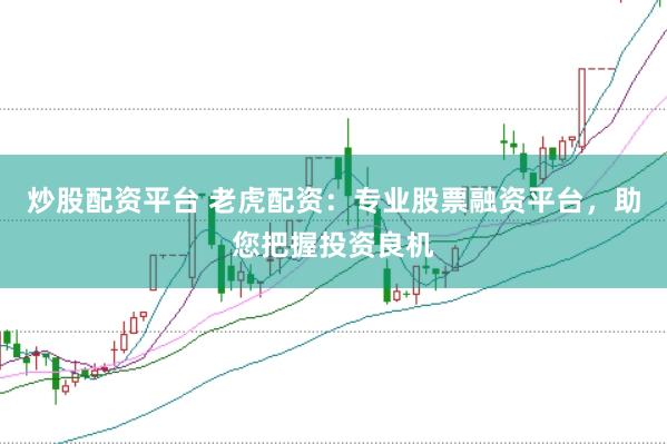 炒股配资平台 老虎配资：专业股票融资平台，助您把握投资良机