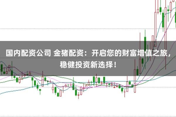 国内配资公司 金猪配资：开启您的财富增值之旅，稳健投资新选择！