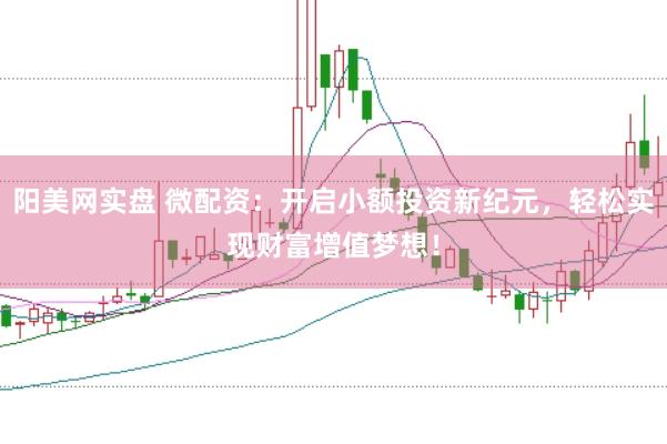 阳美网实盘 微配资：开启小额投资新纪元，轻松实现财富增值梦想！