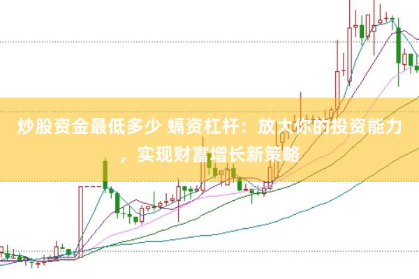 炒股资金最低多少 螎资杠杆：放大你的投资能力，实现财富增长新策略