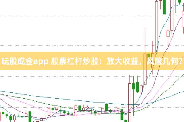 玩股成金app 股票杠杆炒股：放大收益，风险几何？