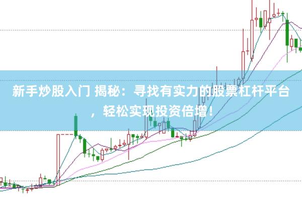 新手炒股入门 揭秘：寻找有实力的股票杠杆平台，轻松实现投资倍增！