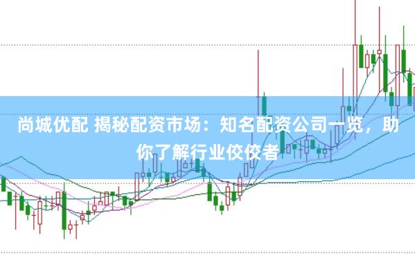 尚城优配 揭秘配资市场：知名配资公司一览，助你了解行业佼佼者