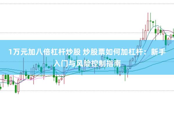 1万元加八倍杠杆炒股 炒股票如何加杠杆：新手入门与风险控制指南