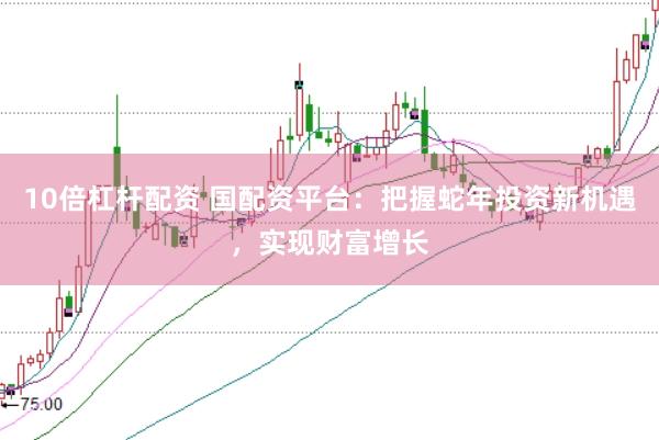 10倍杠杆配资 国配资平台：把握蛇年投资新机遇，实现财富增长