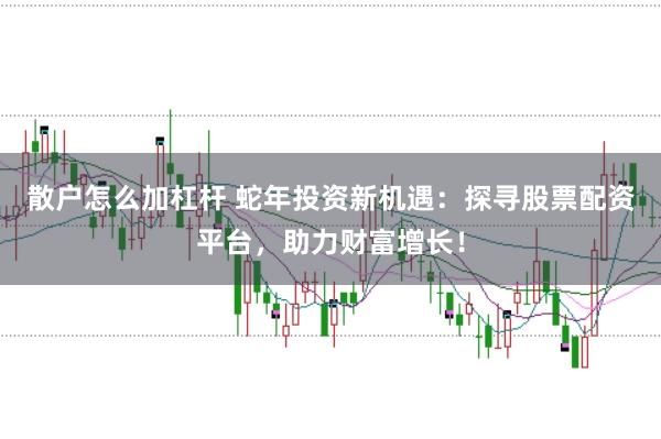 散户怎么加杠杆 蛇年投资新机遇:探寻股票配资平台,助力财富增长!