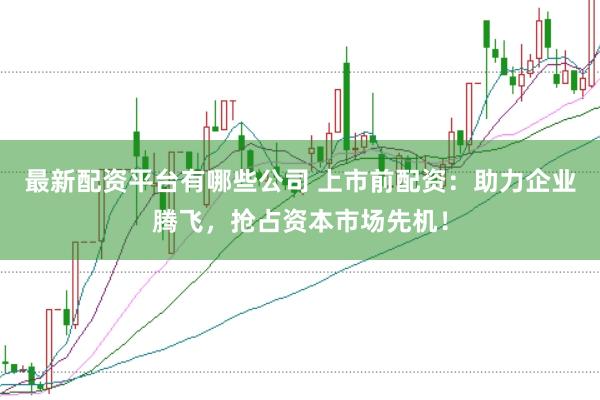 最新配资平台有哪些公司 上市前配资：助力企业腾飞，抢占资本市场先机！
