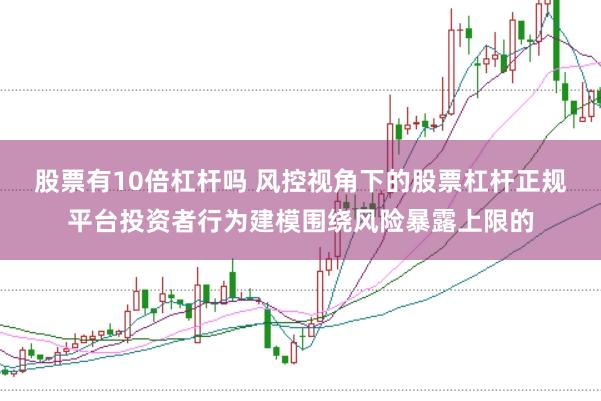股票有10倍杠杆吗 风控视角下的股票杠杆正规平台投资者行为建模围绕风险暴露上限的